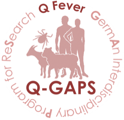 Q-Gaps Logo Q-Gaps Logo