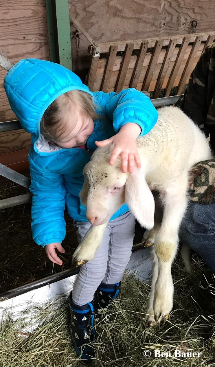 Kind mit Lamm Kind mit Lamm